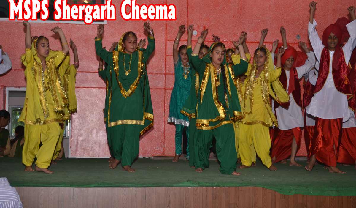 Photo Gallery