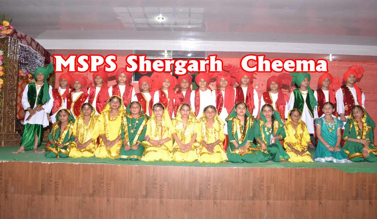 Photo Gallery